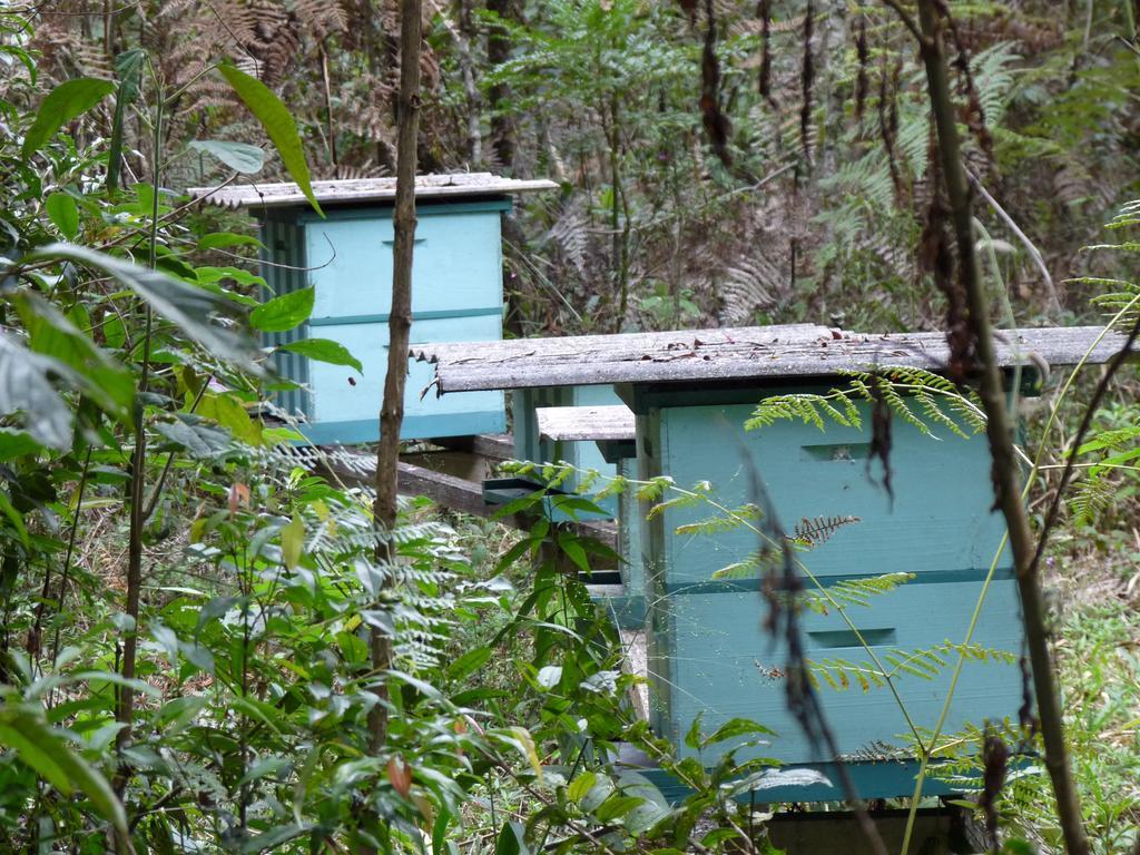 Aromas Da Serra II Campos do Jordão エクステリア 写真