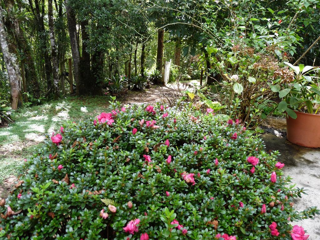 Aromas Da Serra II Campos do Jordão エクステリア 写真